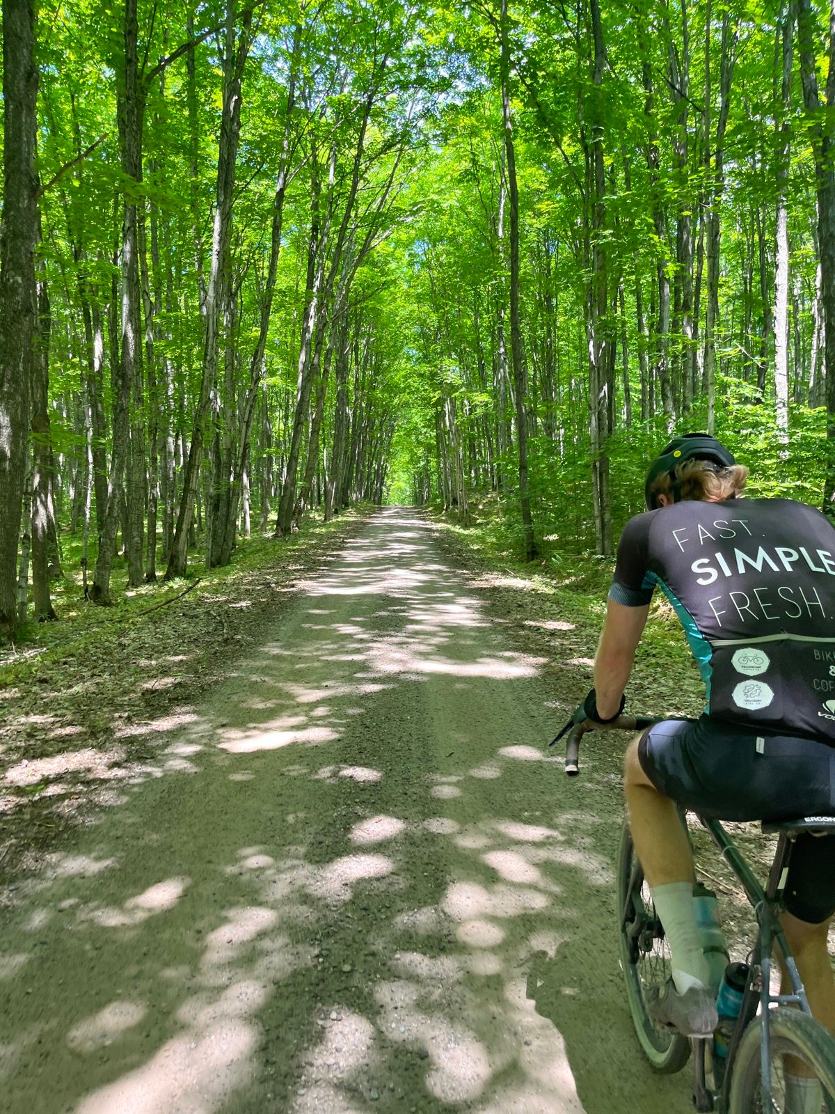 A gravel cyclist riding through a dense hardwood forest canopy.