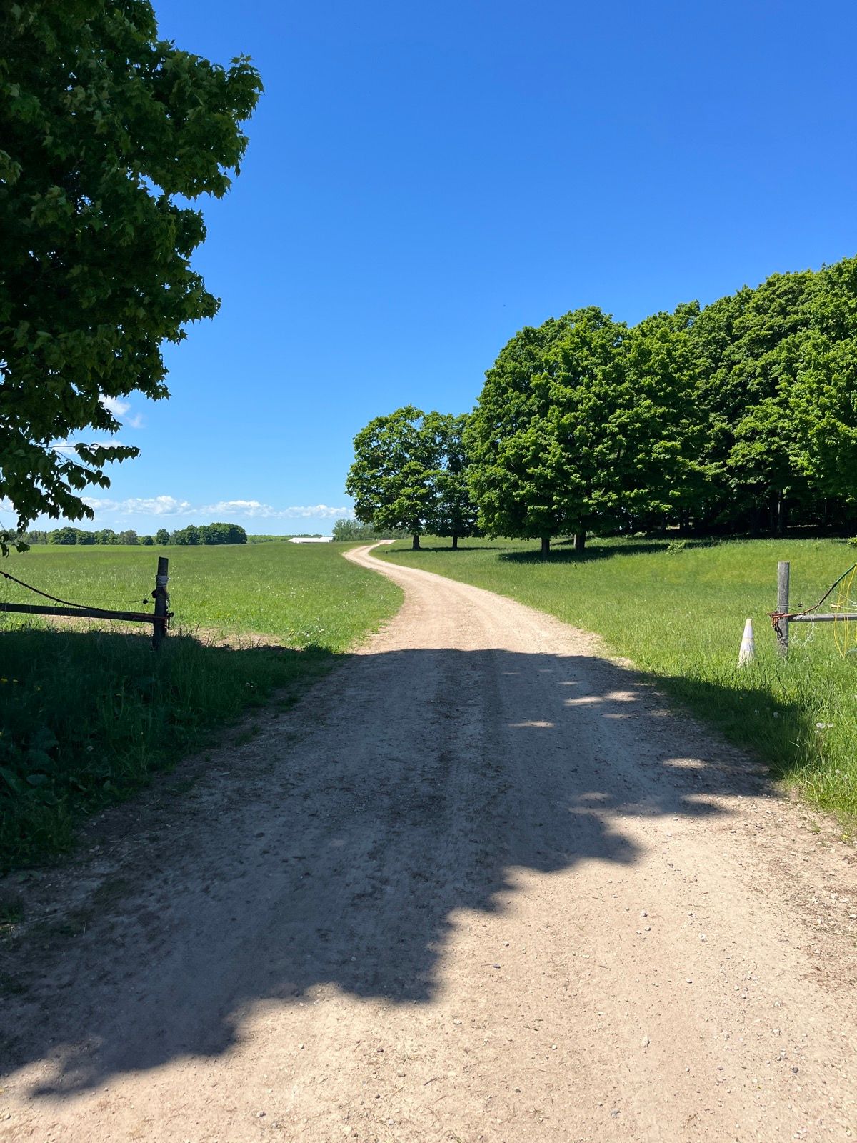 A winding dirt road through green farmland under blue sky.