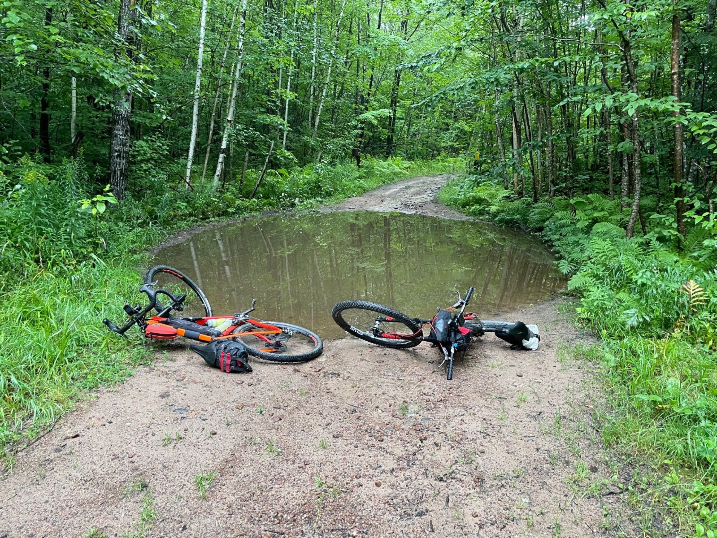 Two gravel bikes laid beside a large puddle on a forest road during MK Ultra Gravel.