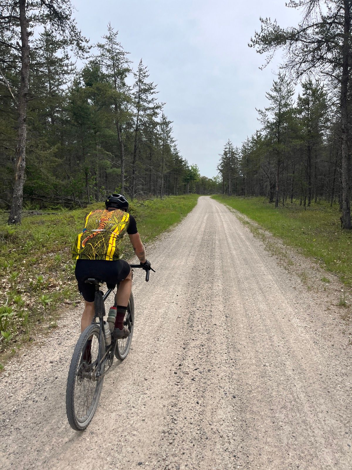 A solo gravel cyclist riding a straight road through sparse spruce forest.